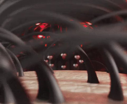 Fuller Hair in 8 Weeks - Scalp Massager